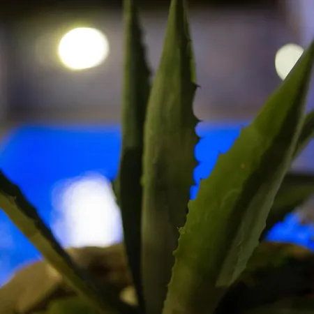 Beautiful In Krk Krk Town