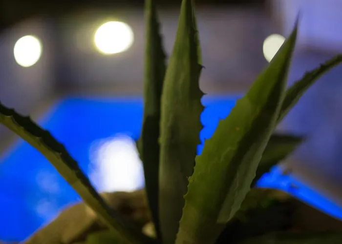 Beautiful In Krk Krk Town