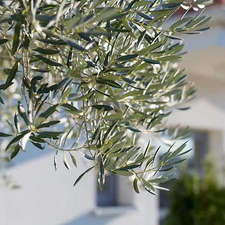 Holiday home Gorgeous In Krk With Outdoor Swimming Pool Krk Town